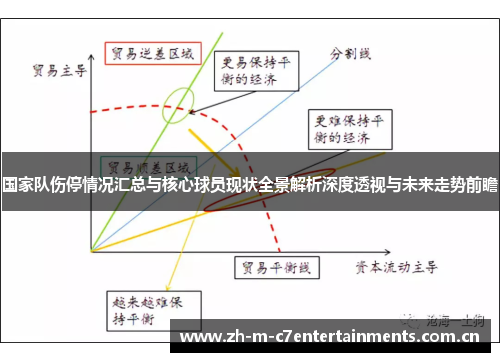 国家队伤停情况汇总与核心球员现状全景解析深度透视与未来走势前瞻